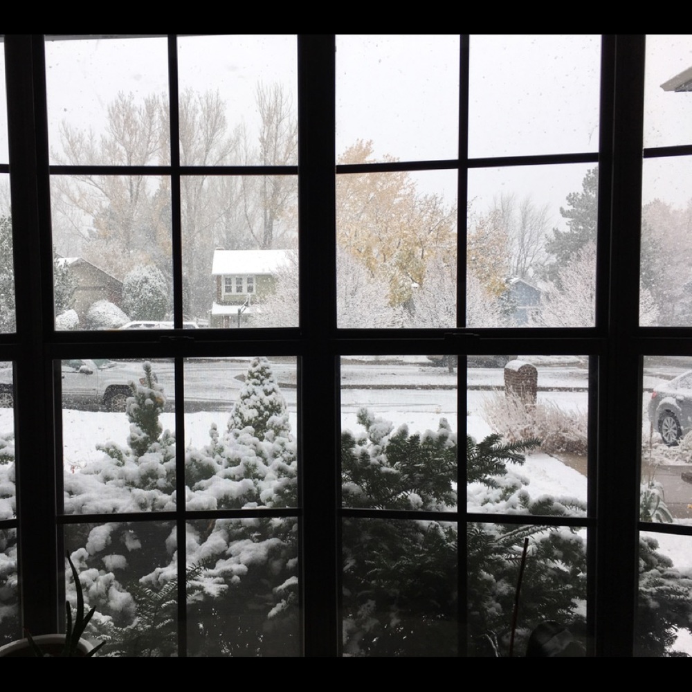 Meet your Posher, Danae